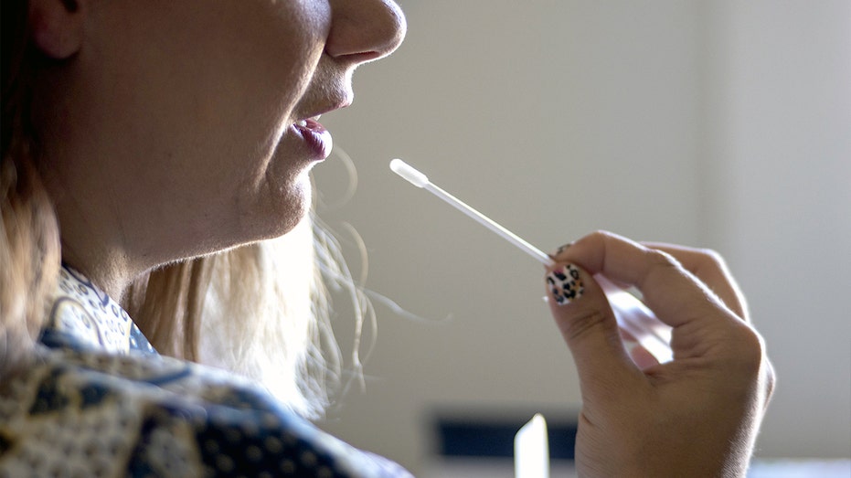 Genealogy boom exposes personal data scammers can exploit Townsville Accountants